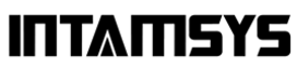 Intamsys Logo